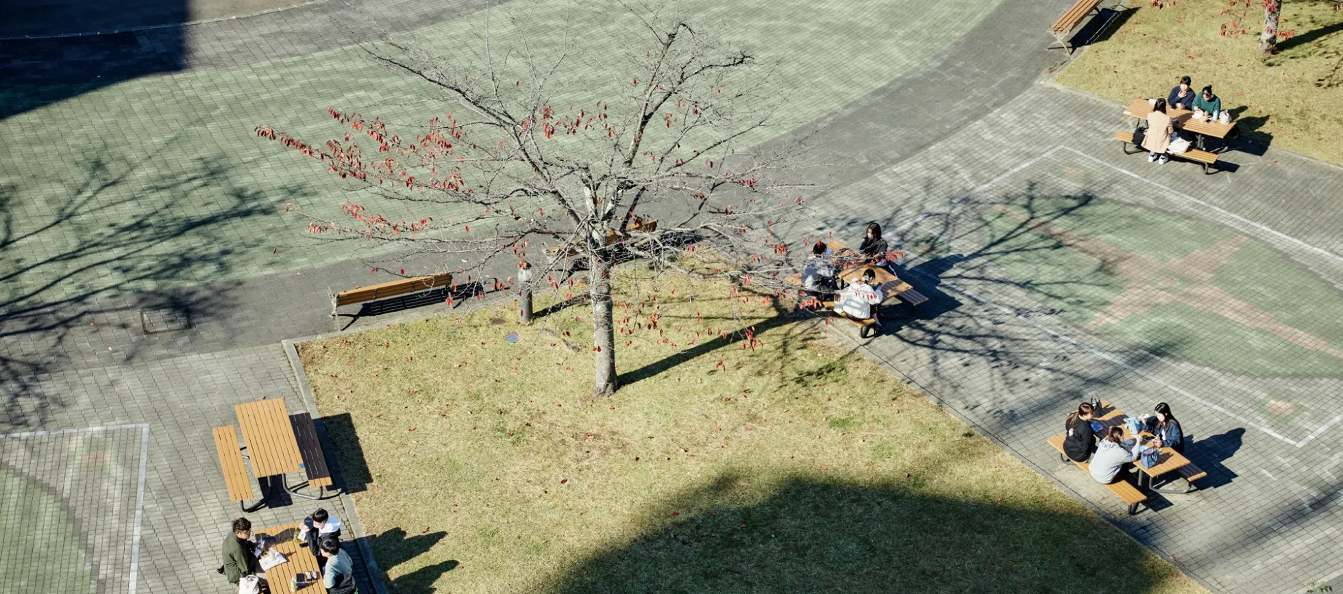 フリー見学会