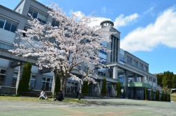校舎と桜