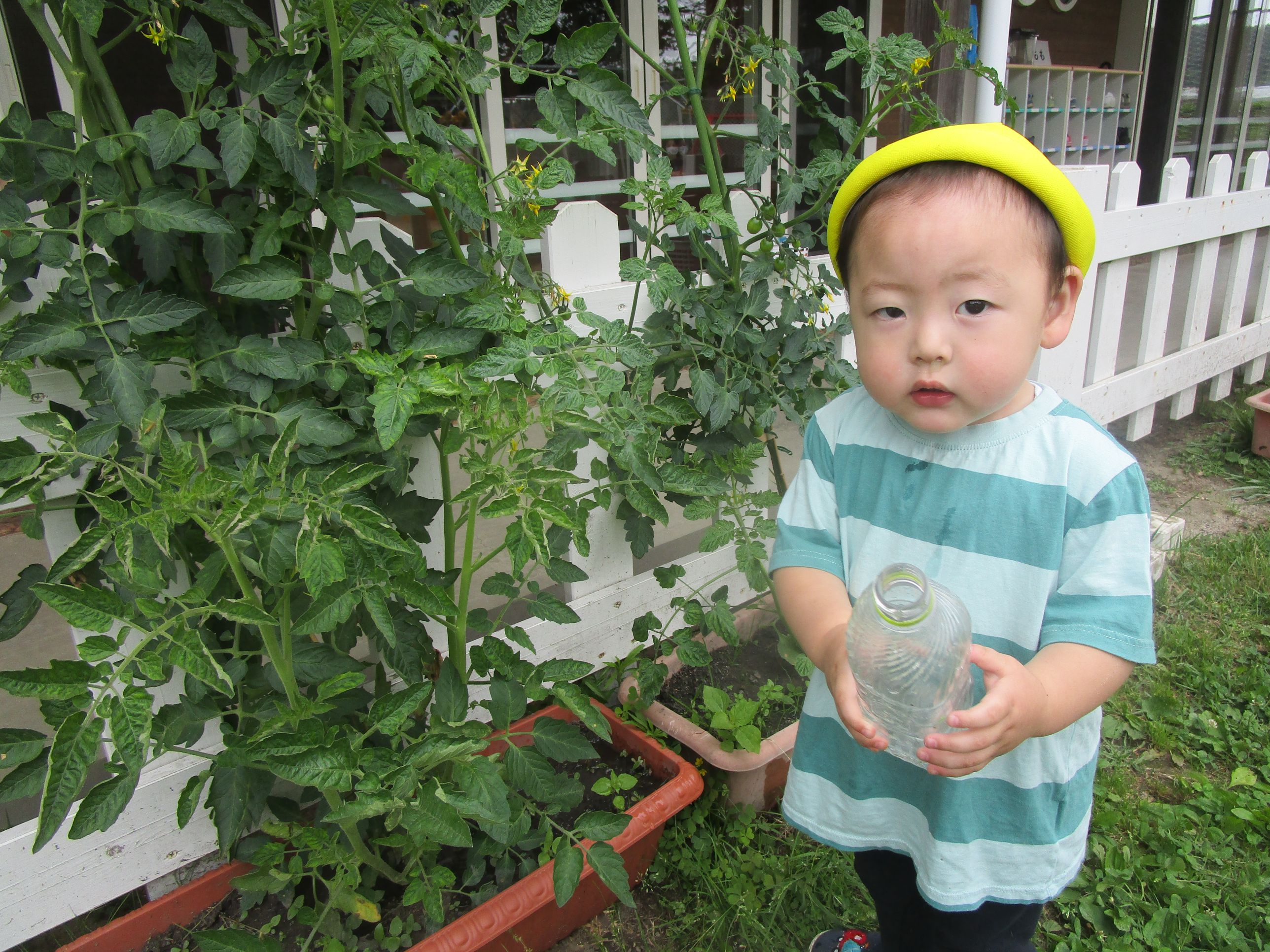 水やりをする男の子