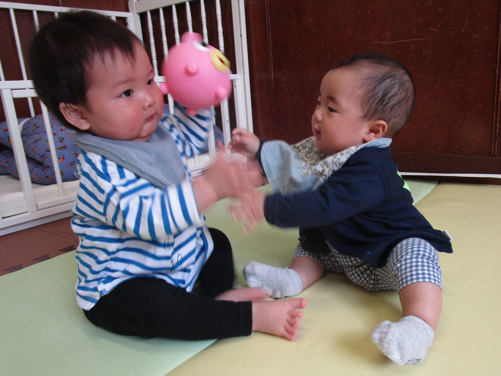 はじめてのおもちゃのとりあい('ω')ノ