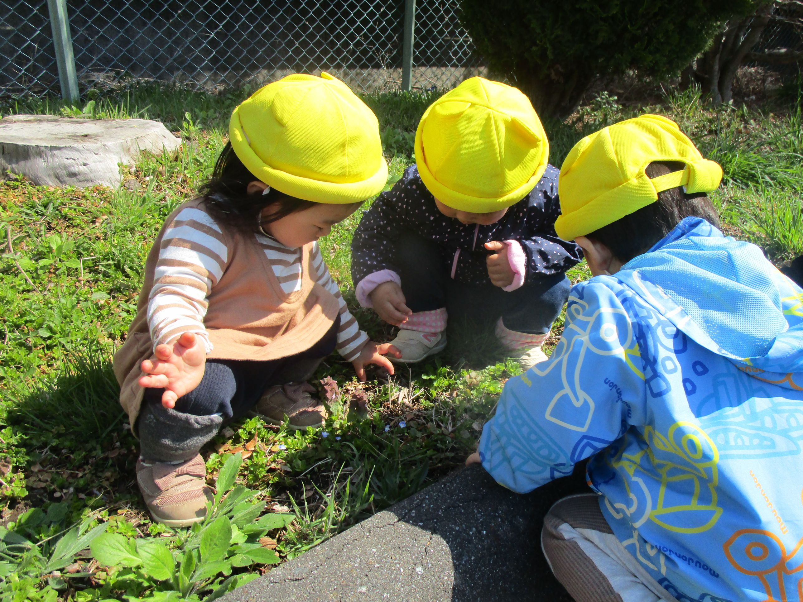 虫を探す子どもたち