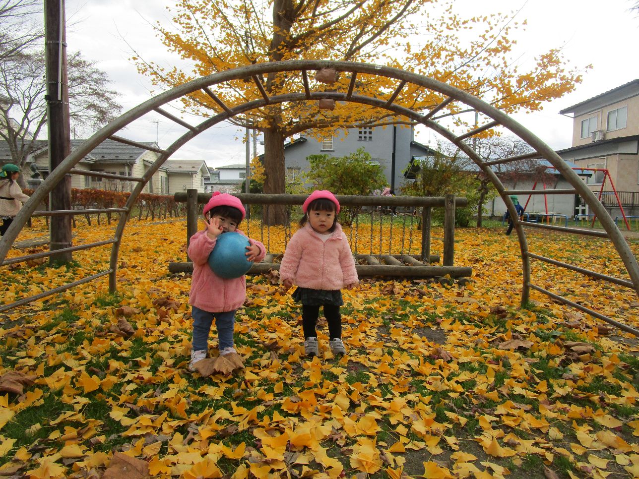 イチョウの落ち葉と女の子