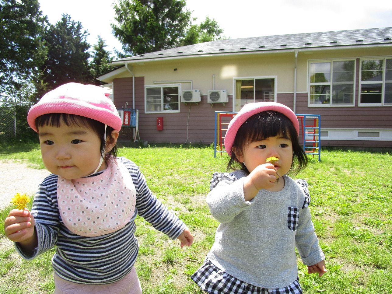タンポポをもつ女児二人