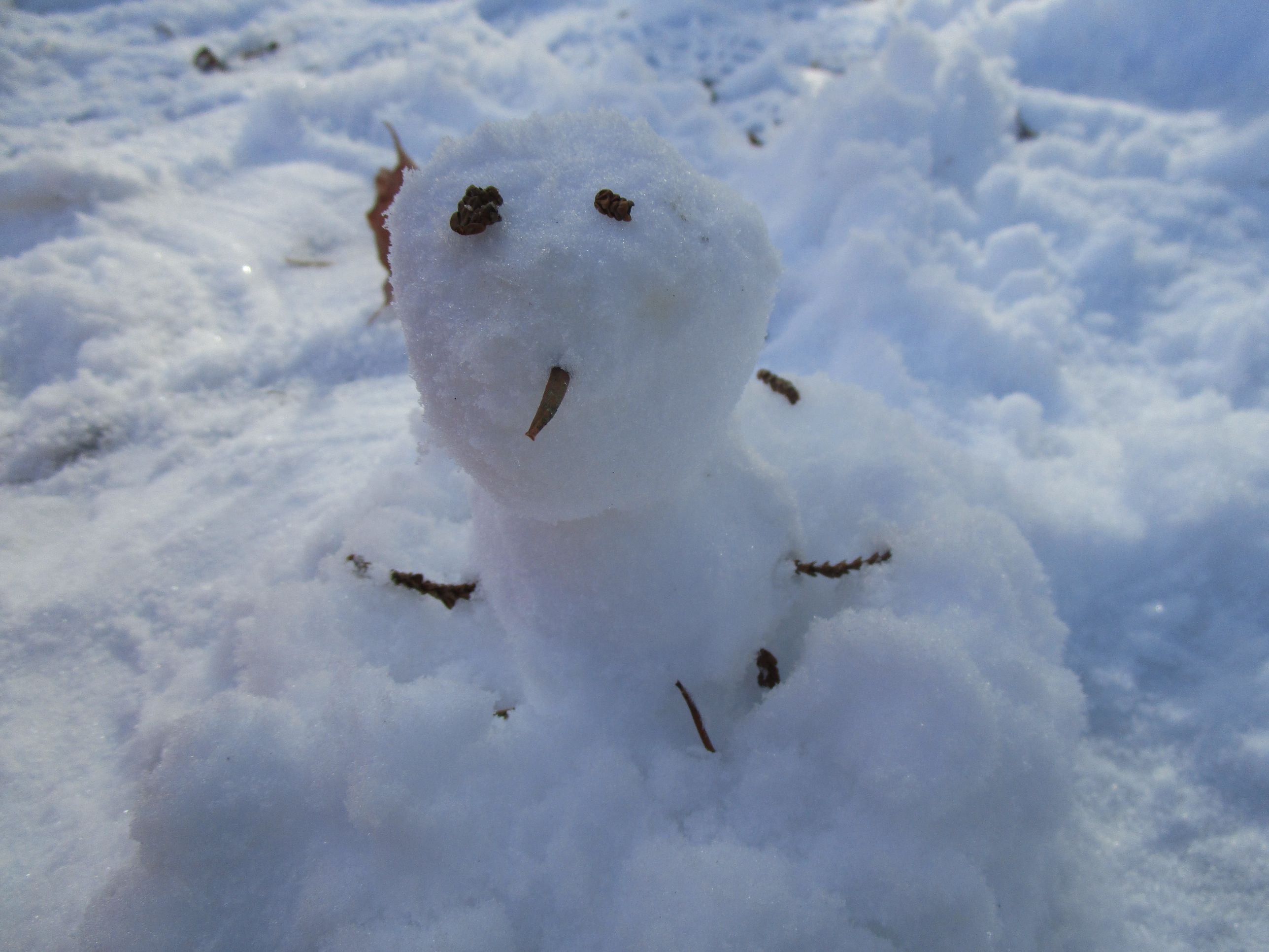 雪遊び