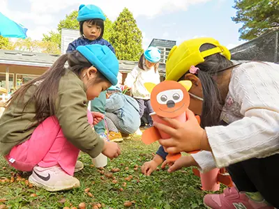 木の実集め
