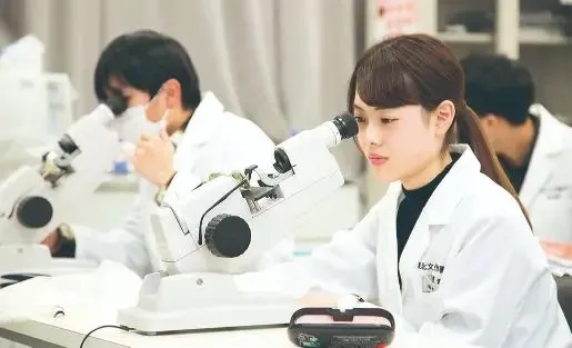 基礎から専門性へつなぐ